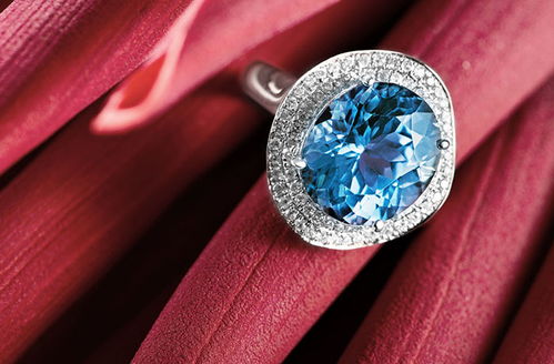 深圳專業(yè)攝影攝像服務(wù) 定格每一刻精彩瞬間