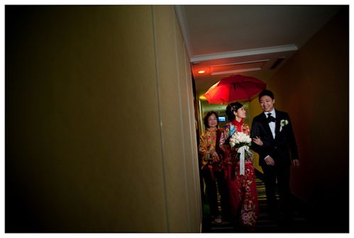 專業(yè)攝影服務(wù) 婚禮、產(chǎn)品與婚紗外影一站式解決方案