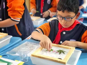 走進(jìn)時(shí)光的珍藏 探秘非物質(zhì)文化遺產(chǎn)館的展覽展示服務(wù)